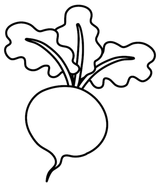 Premium vector radish doodle outline for colouring