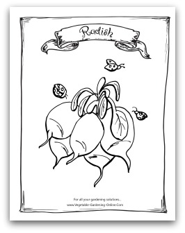 Free vegetable garden coloring books