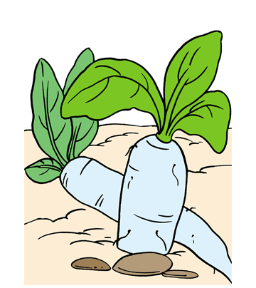 Radish coloring pages for kids to color and print