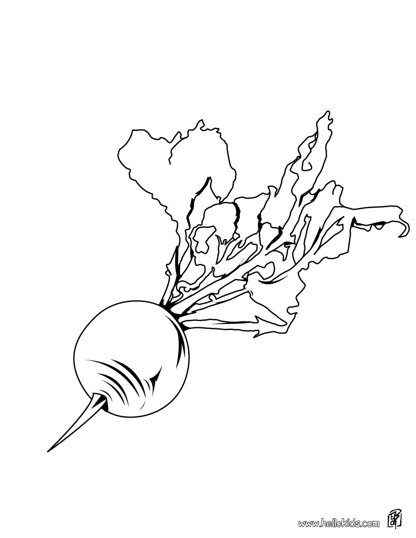 Beetroot coloring pages