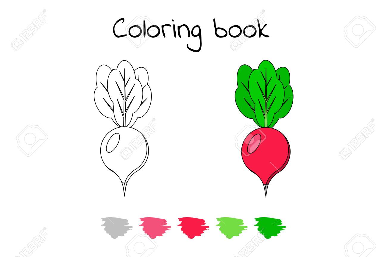 Vector illustration game for children vegetable coloring page radish royalty free svg cliparts vectors and stock illustration image