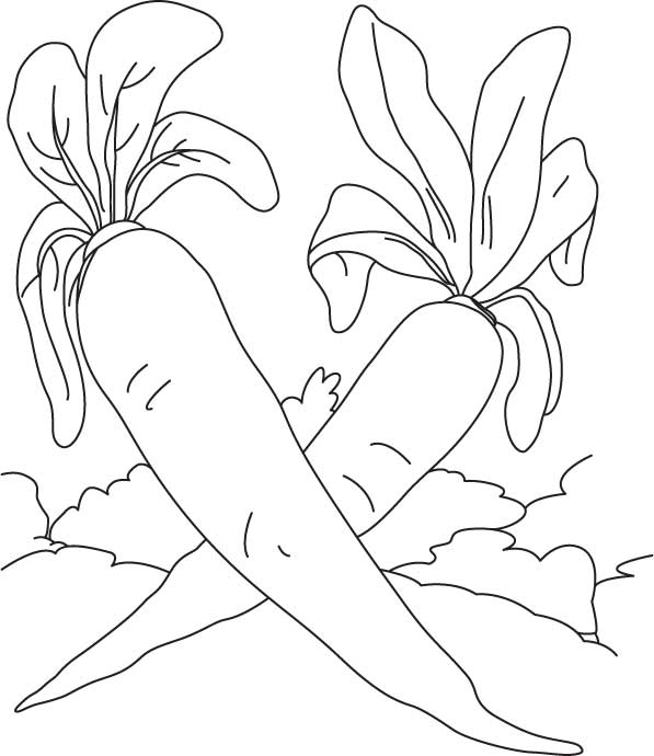 Two white radish coloring page download free two white radish coloring page for kids best coloring pages