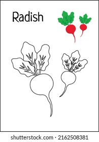 Radish coloring book images stock photos d objects vectors