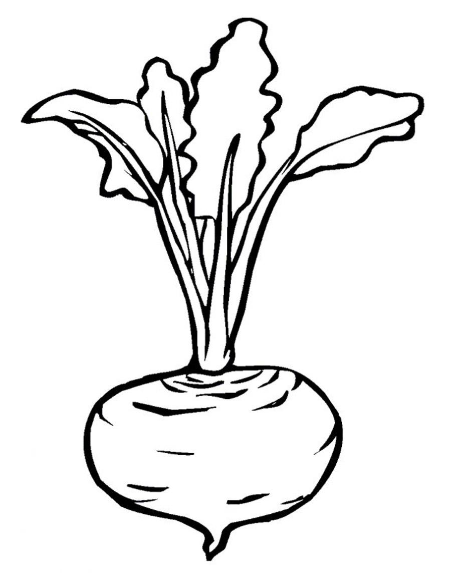 Veggies free coloring pages online print