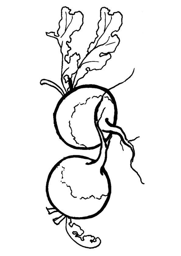 Coloring pages radish coloring pages