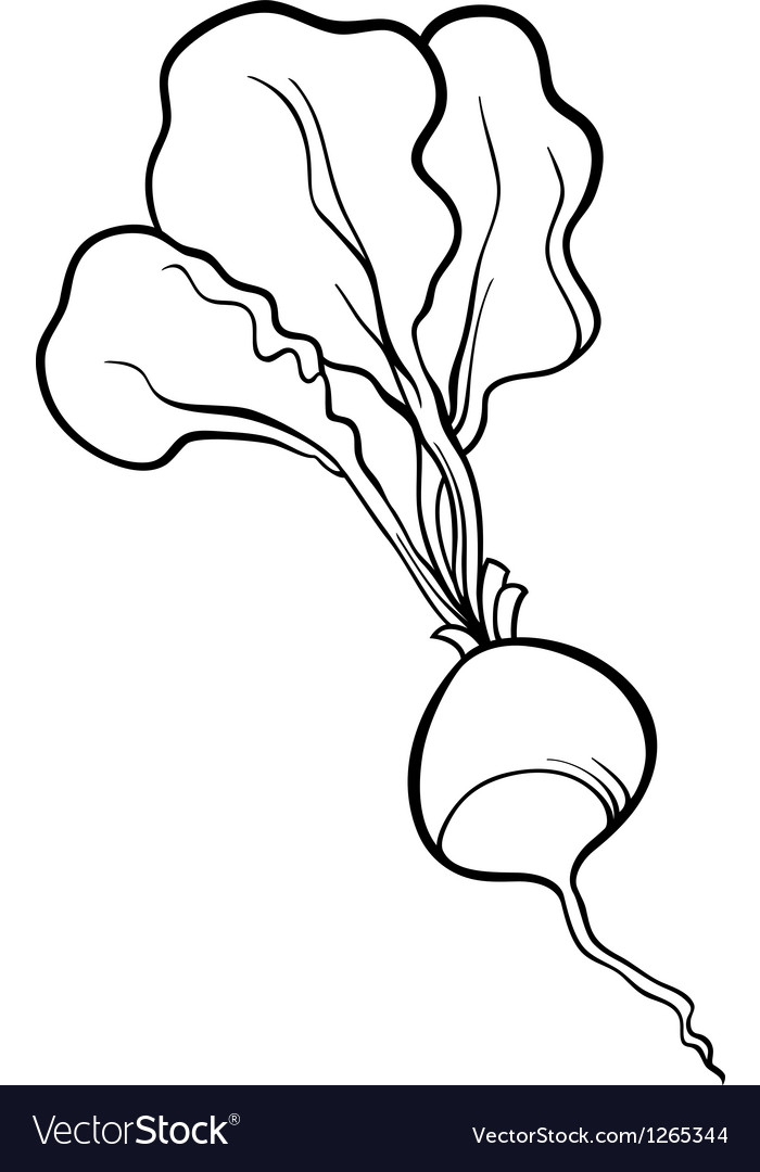 Radish vegetable cartoon for coloring book vector image