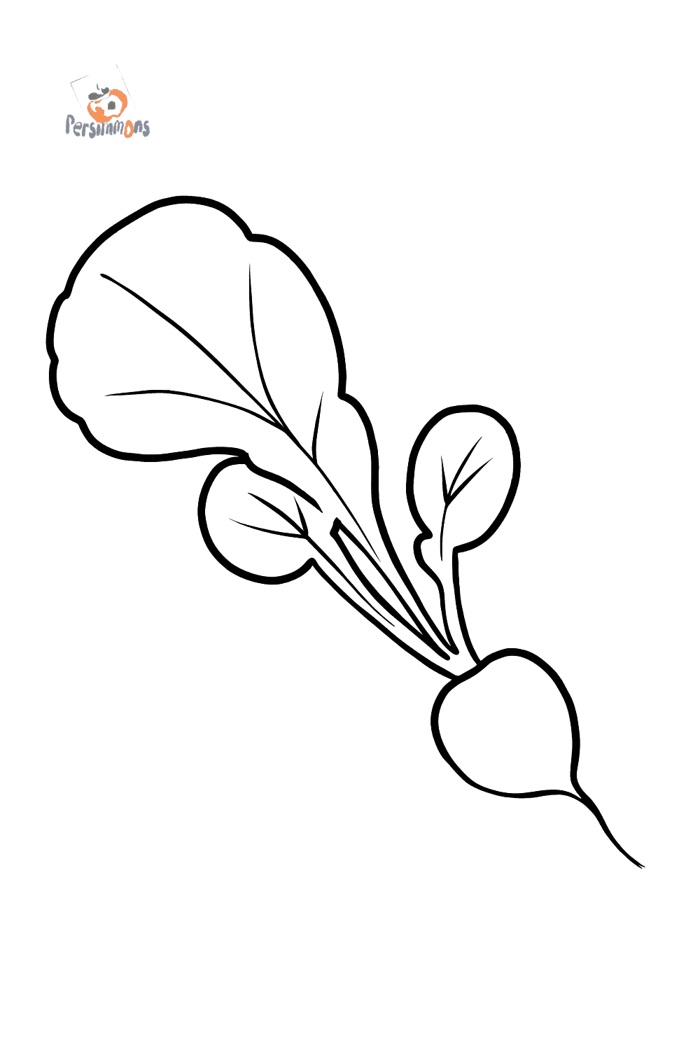 Radish coloring page â online and printable for free