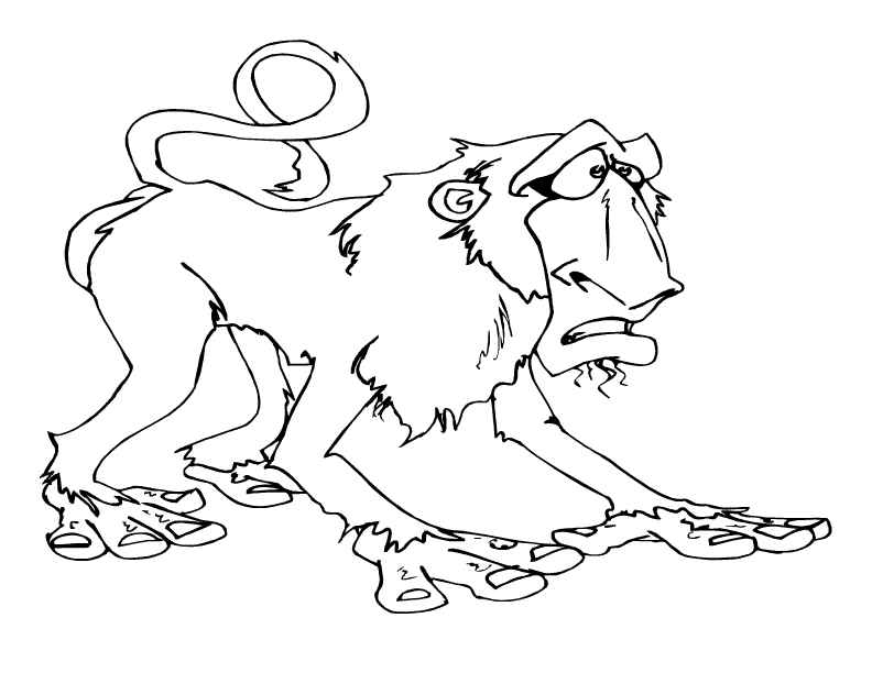 Baboon coloring page