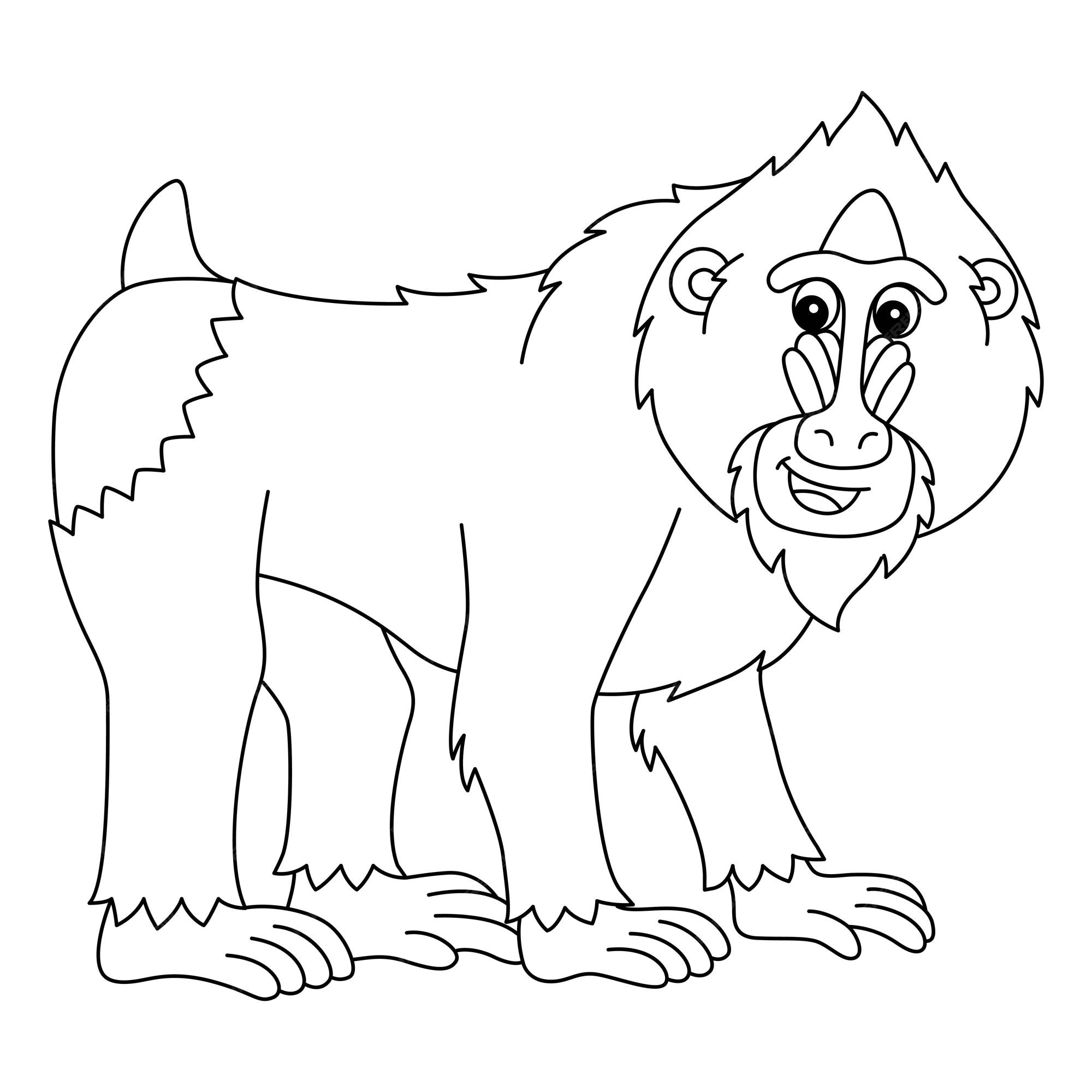 Premium vector mandrill animal isolated coloring page for kids