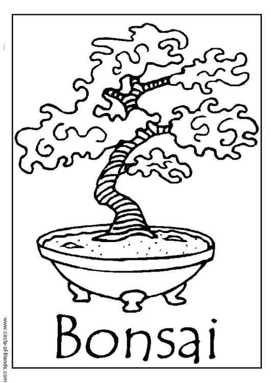 Coloring page bonsai