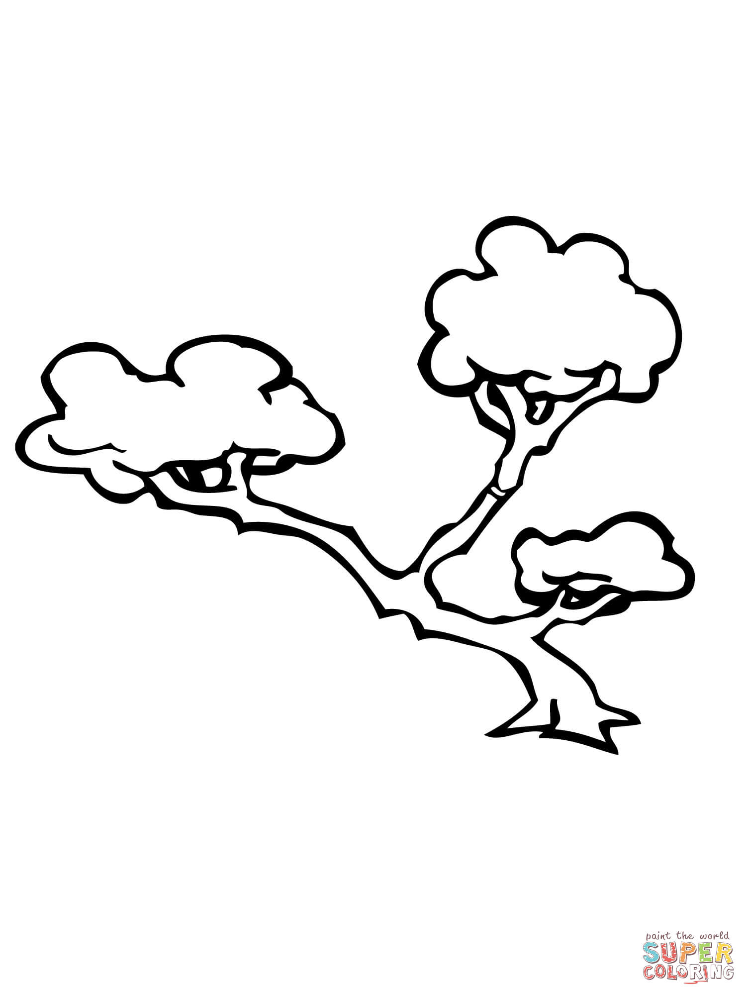 Bonsai tree coloring page free printable coloring pages