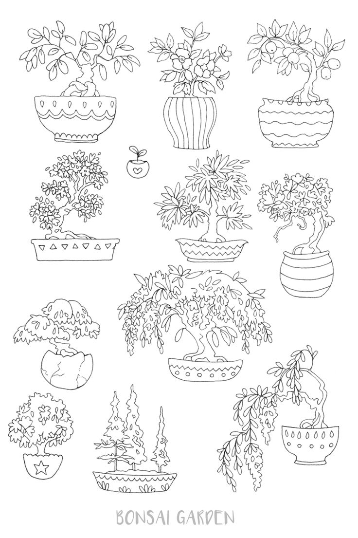 Printable succulent bonsai coloring pages journal and etsy coloring pages free coloring pages coloring stickers