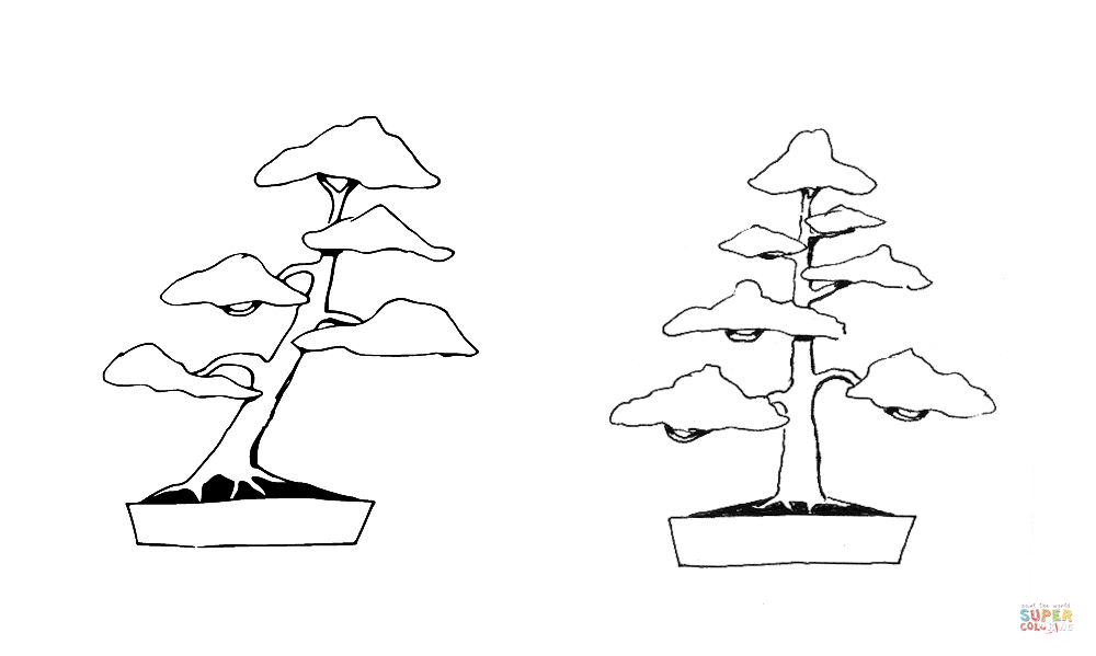 Bonsai slanting style bonsai formal upright style coloring page free printable coloring pages