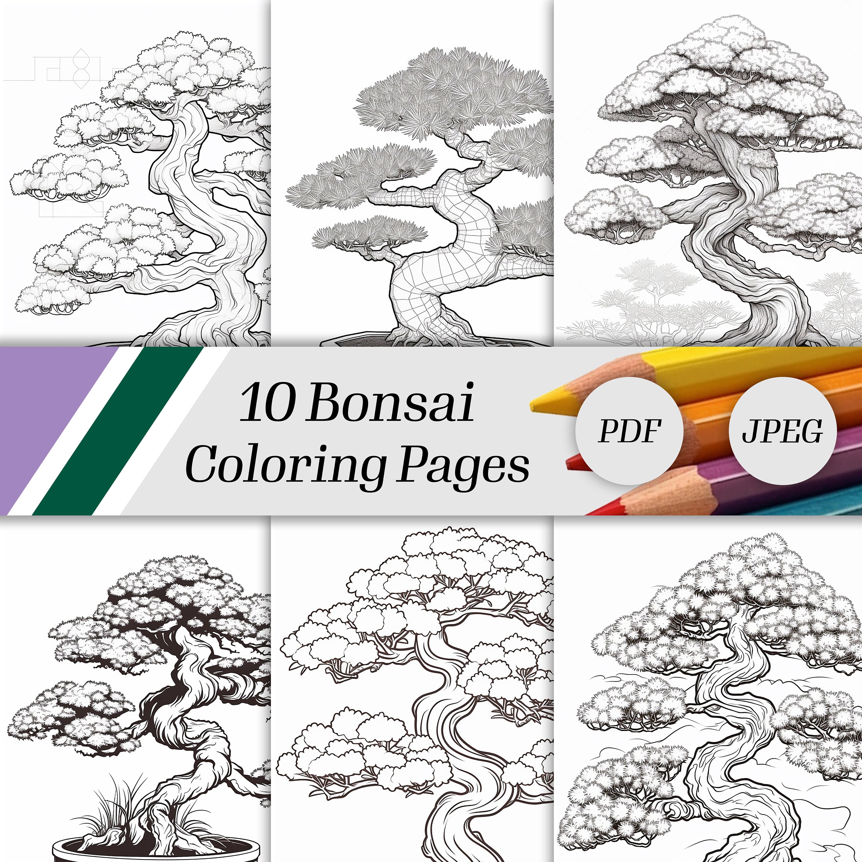 Bonsai coloring page