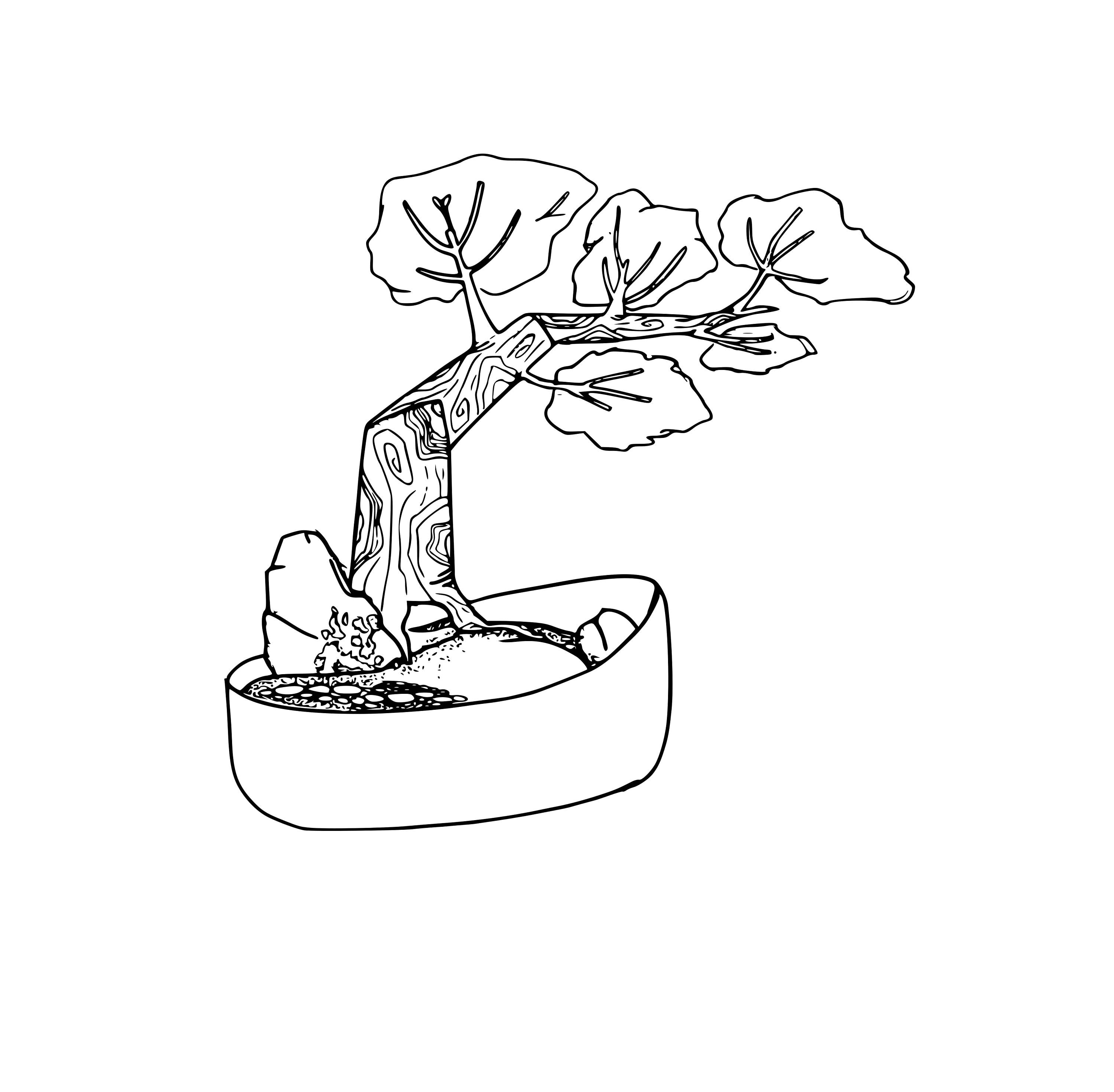 Bonsai coloring page