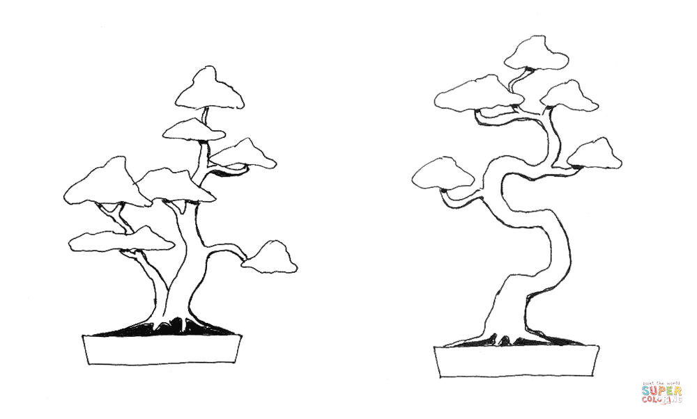 Bonsai double