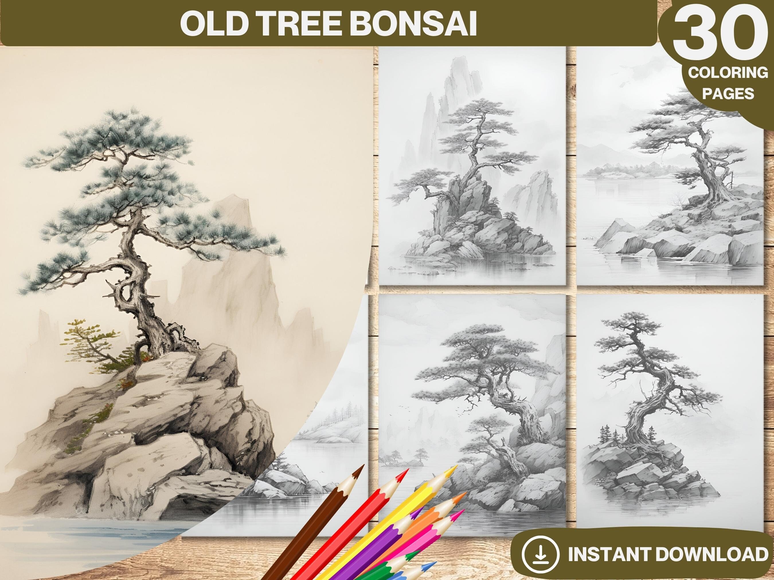 Bonsai coloring page