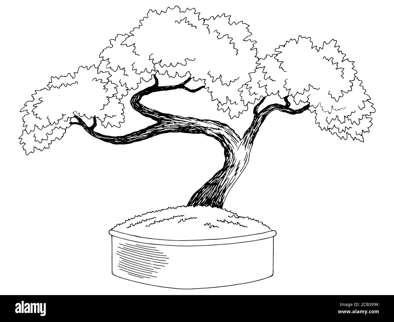 Bonsai black and white stock photos images