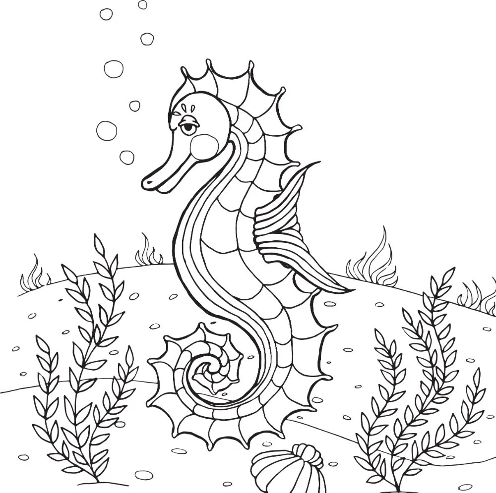 Free seahorse coloring pages for download printable pdf