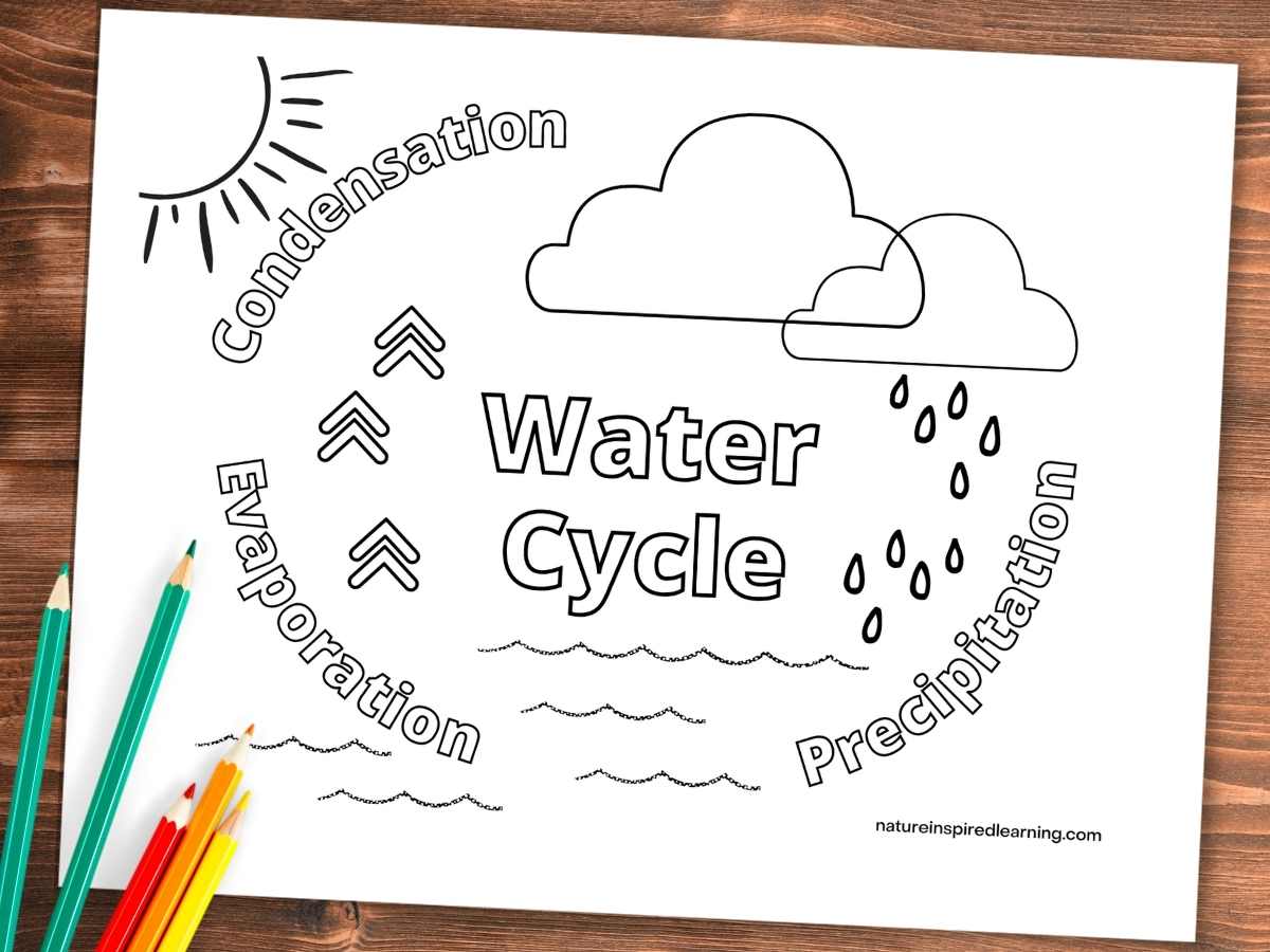 Water cycle coloring pages for kids