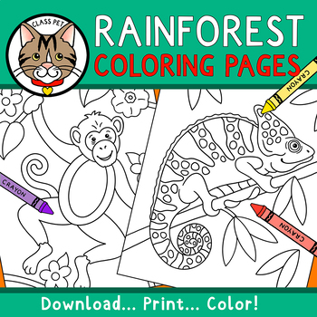 Rainforest coloring pages for preschool kindergarten first grade