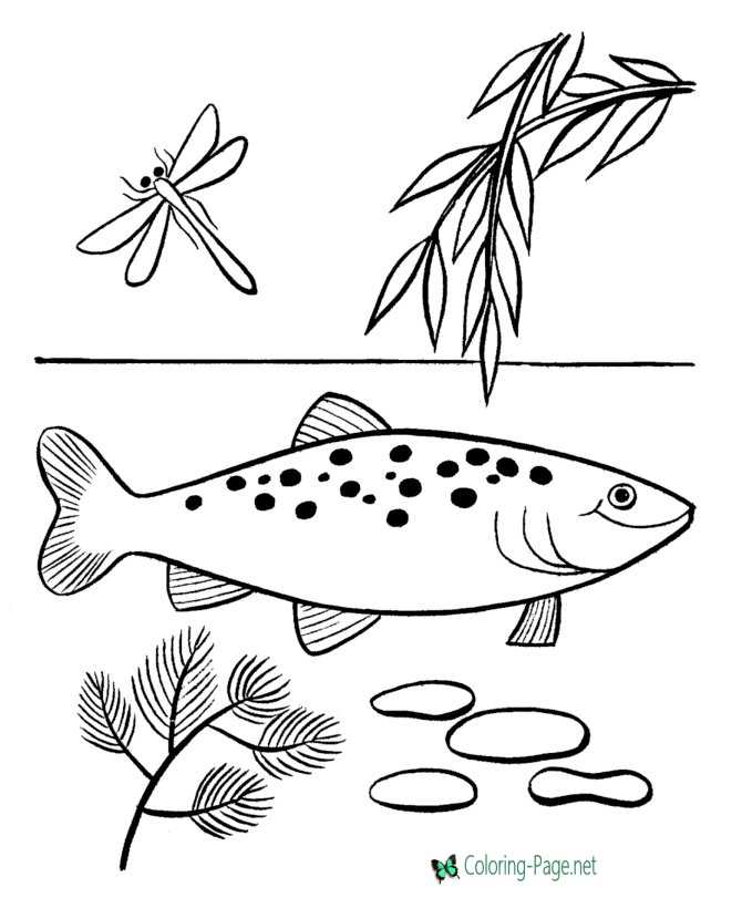 Fish coloring pages