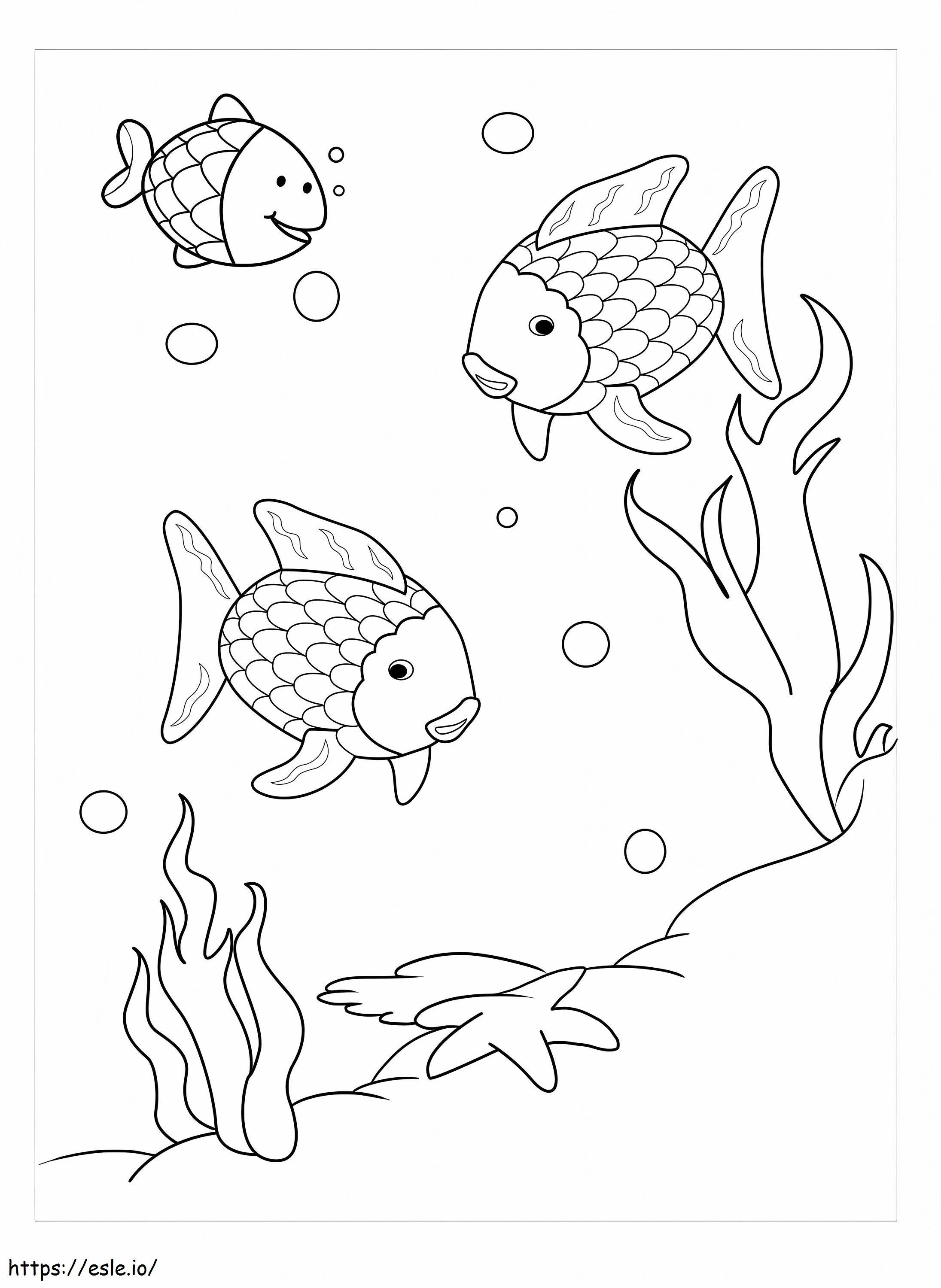 Three rainbow fish coloring page