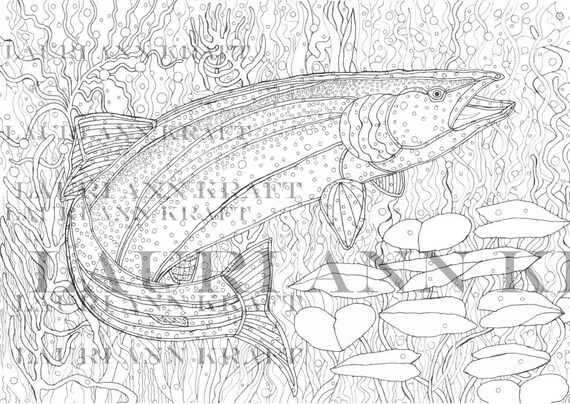 Wyoming wildlife rainbow trout fish outdoors nature printable adult coloring book page instant download zentangle pdf kraft color meditation