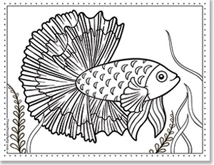 Free printable fish coloring pages for kids of all ages