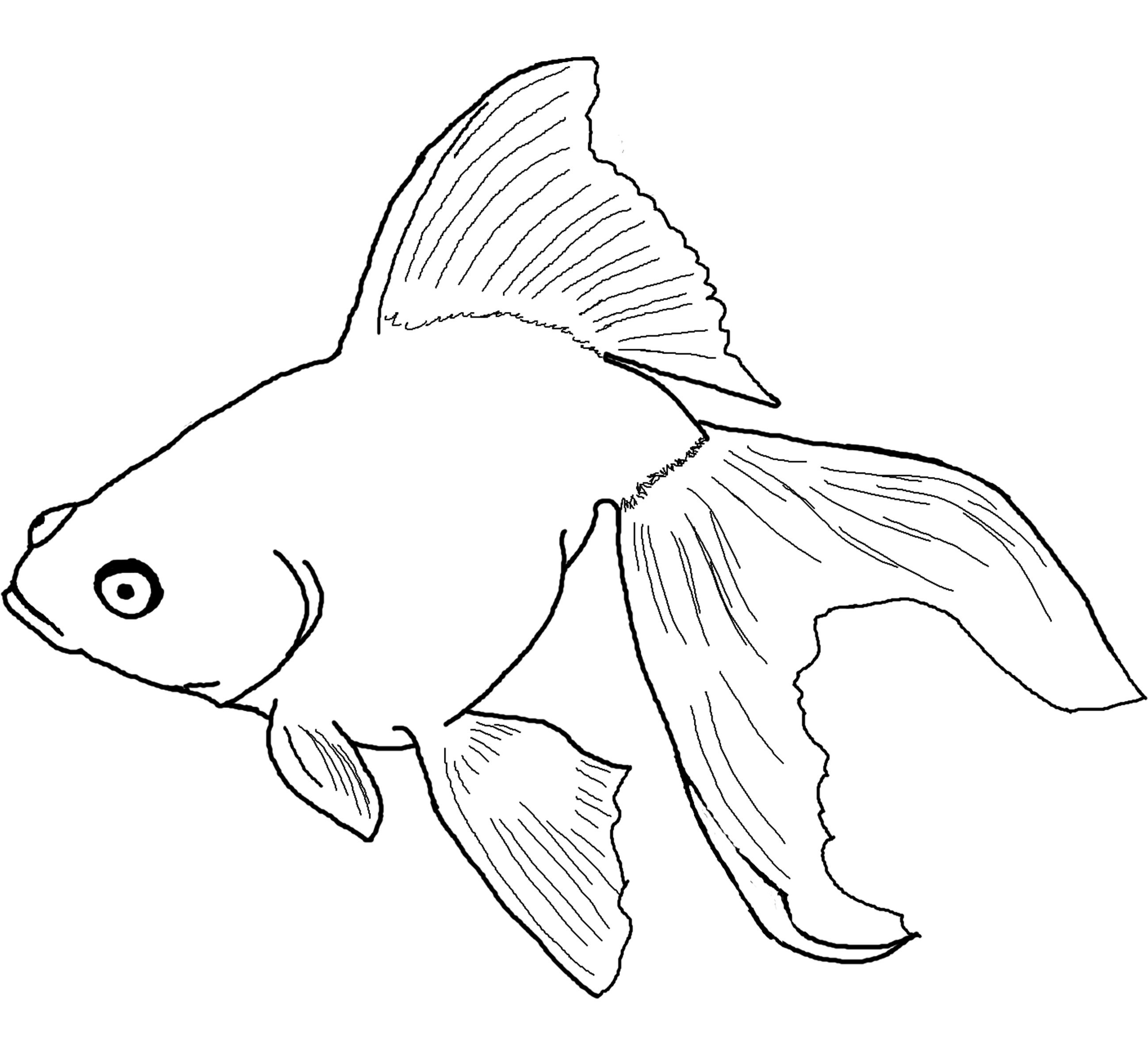 Free printable fish coloring pages for kids