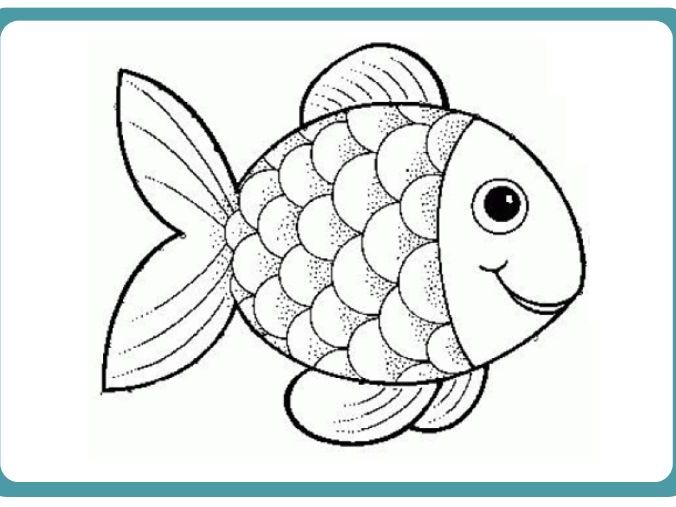 Fish teaching resources