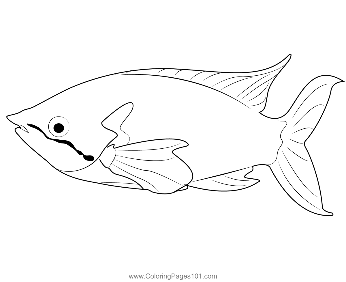 Rainbow fish coloring page for kids