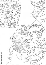 Rainbow fish coloring pages on coloring