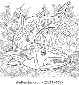 Barracuda fish coloring page outline sea stock vector royalty free