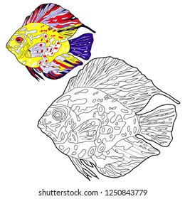 Rainbow fish coloring vector illustration isolated stock vector royalty free