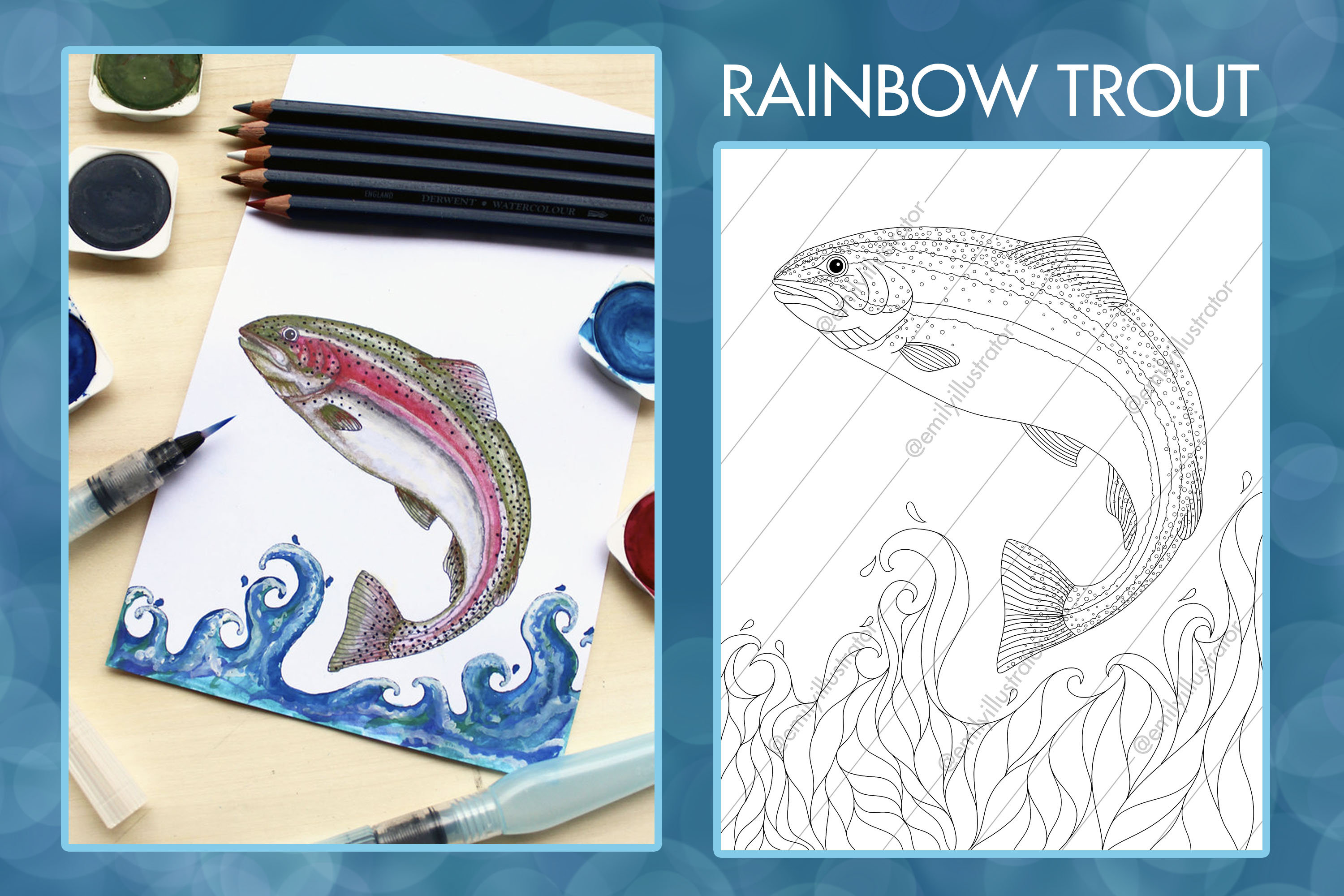 Rainbow trout digital coloring page