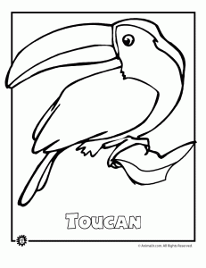 Most endangered rainforest animals coloring pages animal jr