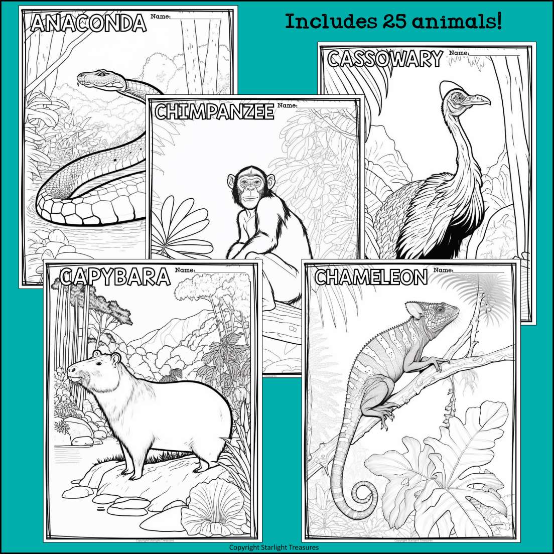 Rainforest animals research posters coloring pages