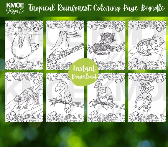 Tropical rainforest animal coloring pages bundle sloth jaguar toucan frog parrot monkey vulture iguana safari cute animals greenery leaves