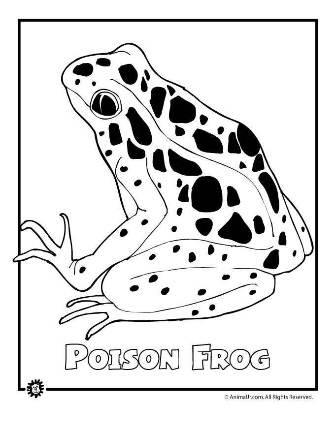 Most endangered rainforest animals coloring pages animal jr