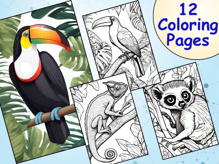 Rainforest animals coloring pages a fun and educational activity for kids teaching resources
