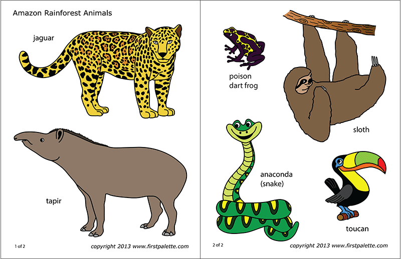 Amazon jungle or rainforest animals free printable templates coloring pages