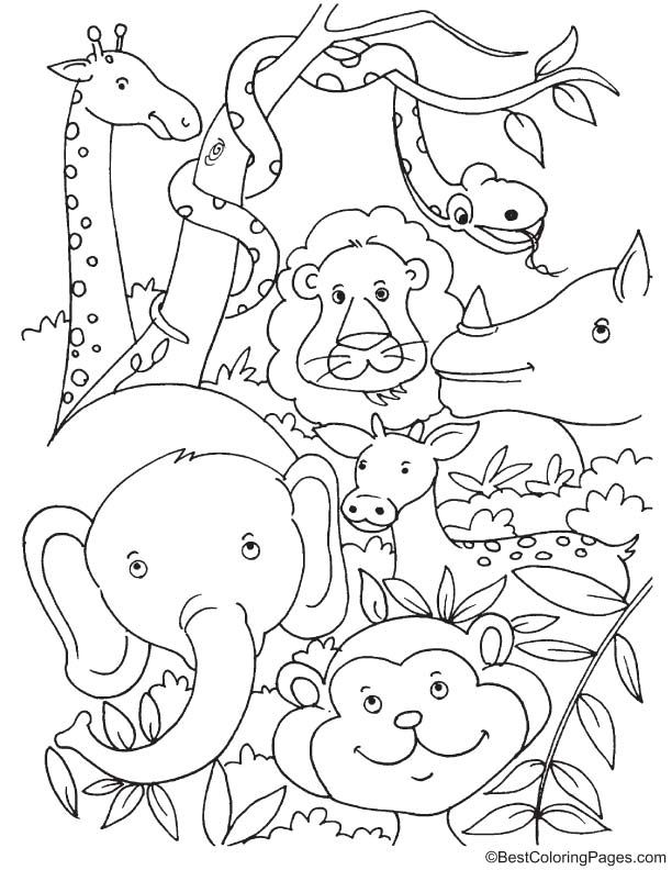 Tropical rainforest animals coloring page jungle coloring pages animal coloring pages animal coloring books