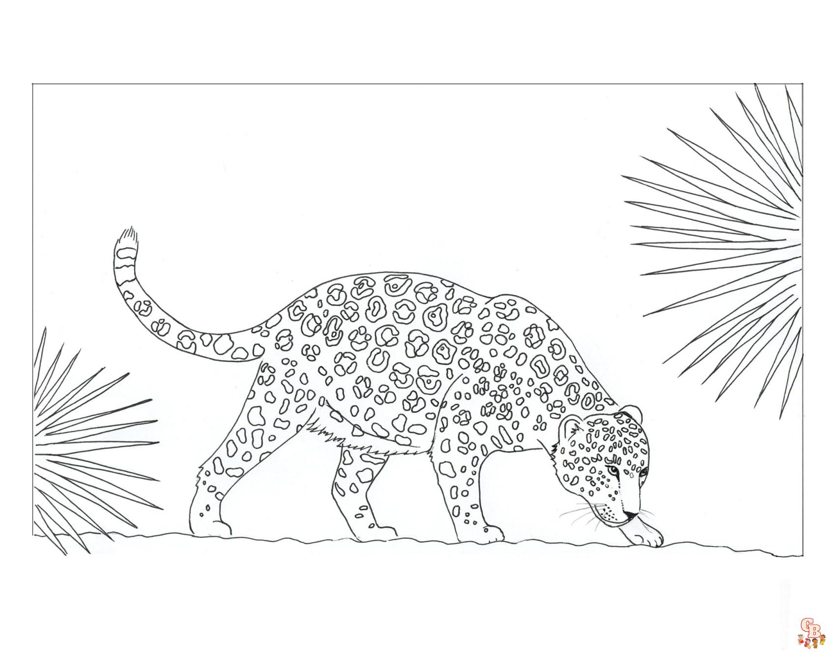 Explore the world of rainforest coloring pages