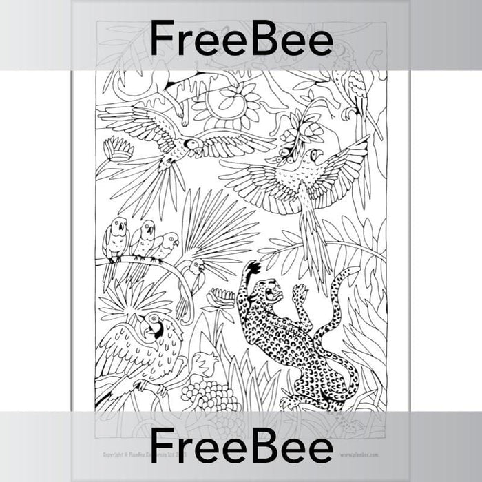 Rainforest art ks mindfulness colouring pages by