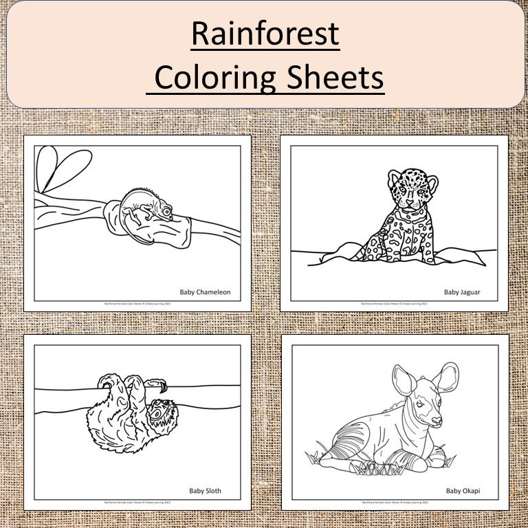 Rainforest animals coloring sheets pages art gorilla frog sloth made by teachers