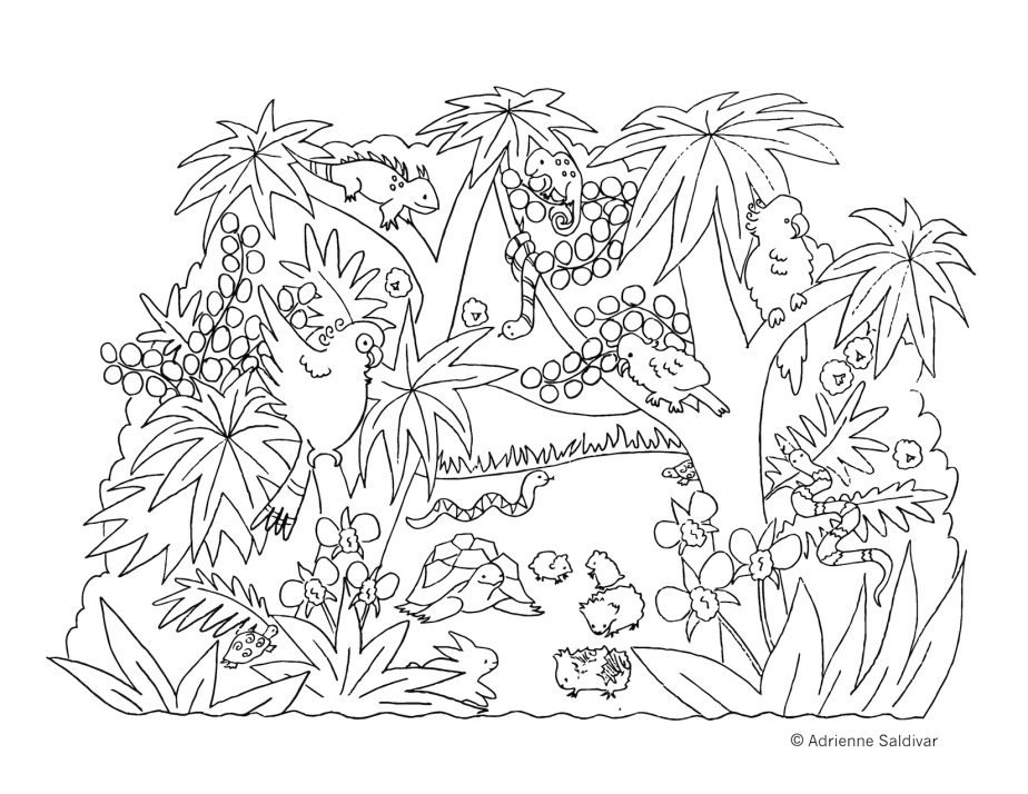 Exotic animal coloring page â adrienne saldivar illustration