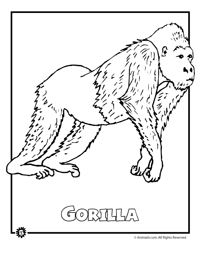 Most endangered rainforest animals coloring pages animal jr