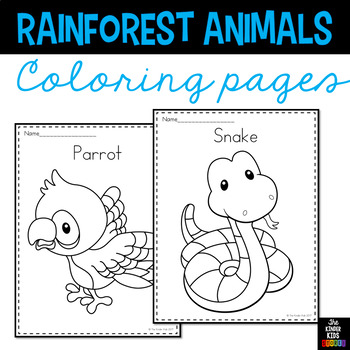 Rainforest animals coloring pages by the kinder kids tpt