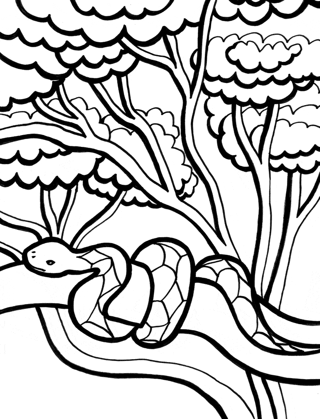 Snake coloring page